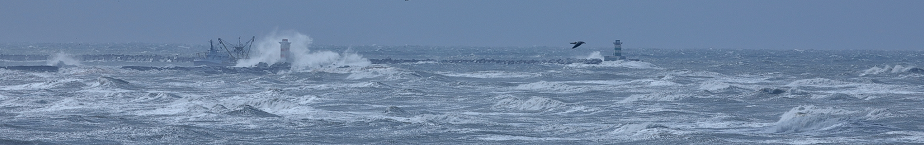 banner-vis-thuis2